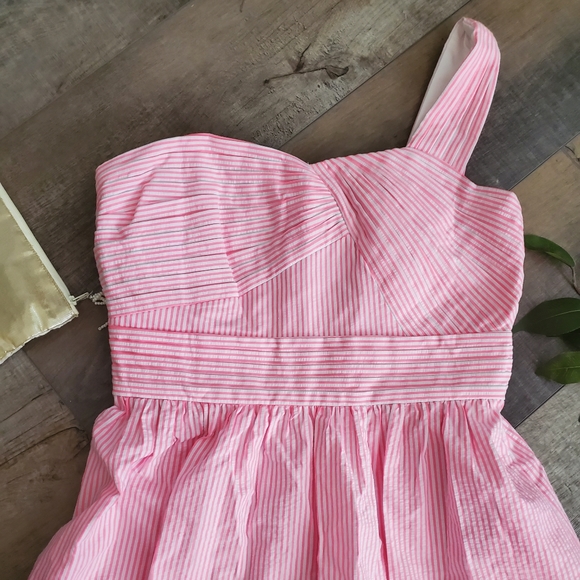 NWT Lilly Pulitzer Addison Dress Seersucker Pi… - Picture 2 of 6